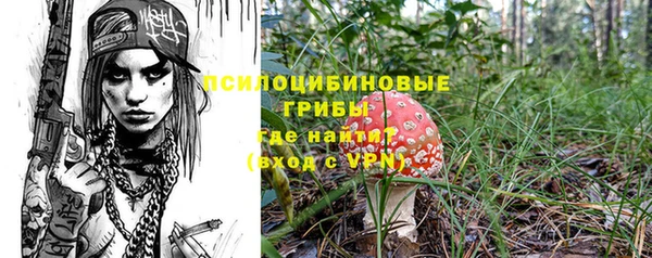 PSILOCYBIN Верхнеуральск